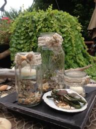 Rustic Beach Wedding Unity Candle Set Terrarium Decor With Shells & Driftwood - thumbnail 1