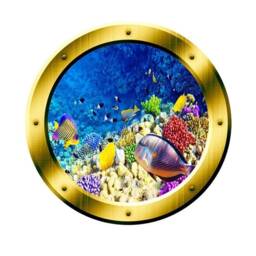 Underwater Scene School Of Fish Porthole Wall Art Ocean View - Vwaq Gp7 - thumbnail 2