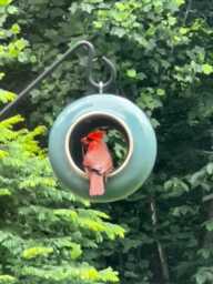 Teal Ceramic Bird Feeder Modern Hanging Yard Art
