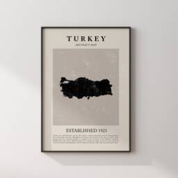 Abstract Turkey Map Vintage Wall Art Print Picasso + Matisse Inspired Travel Poster - thumbnail 3