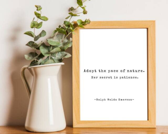 Adopt The Pace Of Nature Quote, Ralph Waldo Emerson, Digital Download, Summer Wall Art, Printable, Minimalist