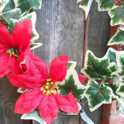 Christmas Wreath Vine Red Poinsettia Green Ivy Door Hanging - thumbnail 2