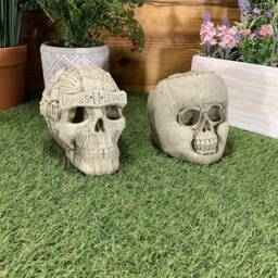 Stone Garden Pair Of Lambs Ii Lions/ Boxing Skulls Gothic Human Ornament Statue - thumbnail 4