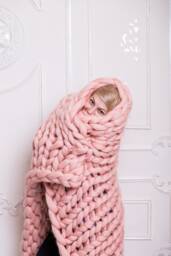 Super Chunky Blanket, Knit Merino Wool Yarn, Knitting