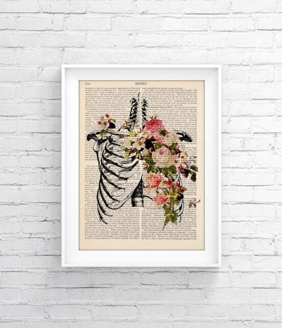 Anatomy Print Upcycled Page, Book Print Vintage Illustration - Skeleton Medical Wall Decor, Retro Poster, Book 032 - image 1