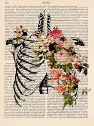 Anatomy Print Upcycled Page, Book Print Vintage Illustration - Skeleton Medical Wall Decor, Retro Poster, Book 032 - thumbnail 3