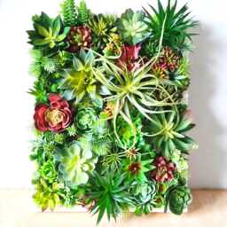 Faux Succulent 3D Wall Art Rustic Wood Framed Botanical Decor For Home Or Business - thumbnail 2