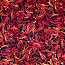 Bright & Vibrant Design ~ Red Hot Chili Pepper Cushion Cover Fits An 18 - thumbnail 3