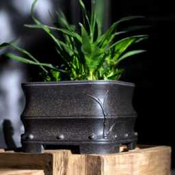 Handmade Bamboo & Ceramic Bonsai Pot - thumbnail 3