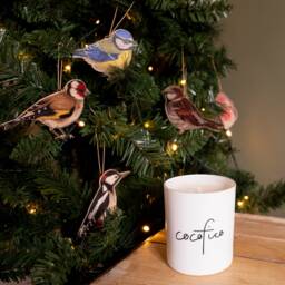 Wooden Bird Christmas Ornament Set 5 Piece Gift Set, Illustrated Garden Decorations, Sustainably Made - thumbnail 3