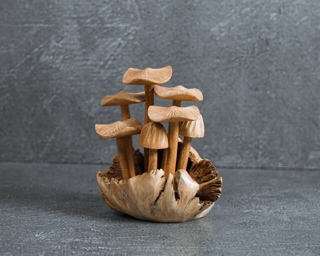 Handmade Wood Carved Mushroom Sculpture Rustic Home Decor 4.5 - image 1