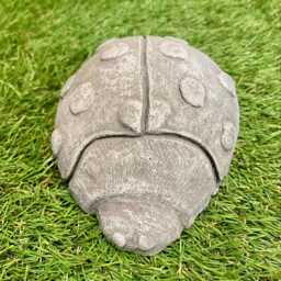 Small Concrete Ladybird Ornament Outdoor Garden Bug Insect Lawn Sculpture Frost Protected - thumbnail 3