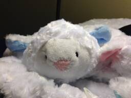 Baby, Minky Animal Security Blanket Toy, Plush Snuggle Buddy