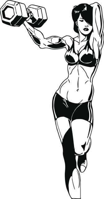 Wall Vinyl Decal Beautiful Fitness Girl Muscle Figure Force Gym & Decor - #2428Dn - image 1