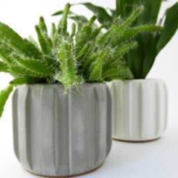 Handmade Small Concrete Plant Pot - Minimalist Modern Planter For Succulents & Cacti - thumbnail 3