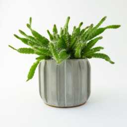 Handmade Small Concrete Plant Pot - Minimalist Modern Planter For Succulents & Cacti
