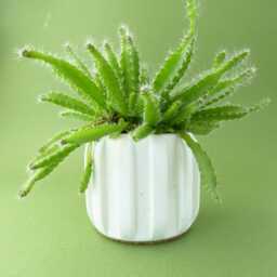 Handmade Small Concrete Plant Pot - Minimalist Modern Planter For Succulents & Cacti - thumbnail 2