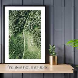 Set Of 3 Sage Green Prints, Living Room Wall Art, Posters, Forest Pictures Fine Art Photography Landscape Prints - thumbnail 3