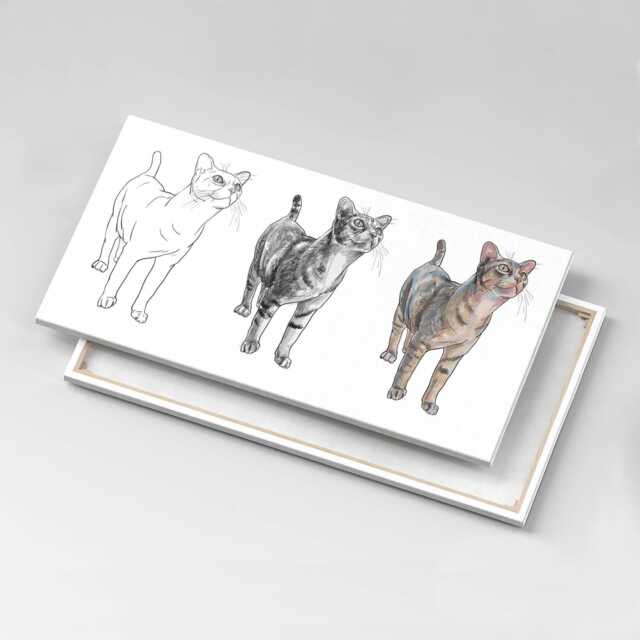 Illustration Of A Cute Curious Cat Canvas, Wall Art Picture, Gray Decoration, Animals Canvas - image 1