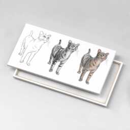 Illustration Of A Cute Curious Cat Canvas, Wall Art Picture, Gray Decoration, Animals Canvas - thumbnail 1