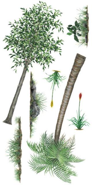 Plants & Trees Sticker Murals Collection Wall Stickers - 24 In. X 48 In