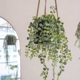 Hanging Plant Pot, Black-Washed, Multiple Sizes - thumbnail 3