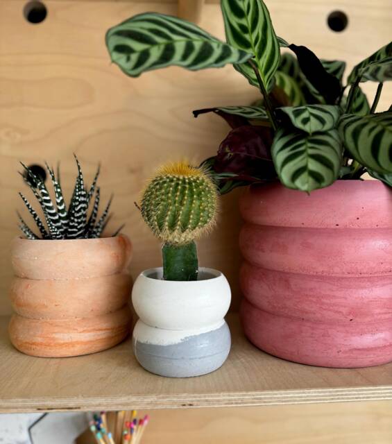 Wavy Concrete Plant Pot Handmade Minimalist Cactus Planter - image 1