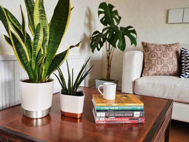 Planter With Inbuilt Drip Tray, Tapered Design, Modern Indoor Garden Decor - image 1