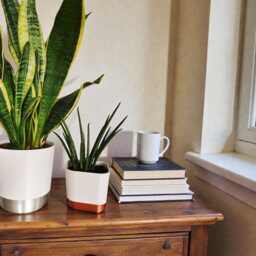 Planter With Inbuilt Drip Tray, Tapered Design, Modern Indoor Garden Decor - thumbnail 3