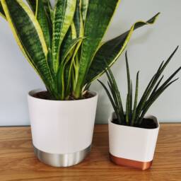 Planter With Inbuilt Drip Tray, Tapered Design, Modern Indoor Garden Decor - thumbnail 2
