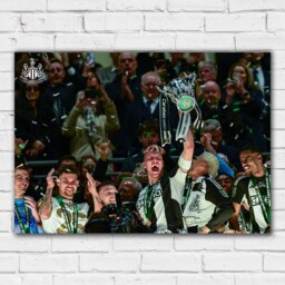Newcastle United Cup Winners Print - Dan Burn With Trophy Landscape Poster - thumbnail 2