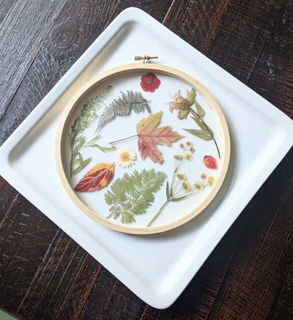 Framed Flowers Wall Art, Assorted Flowers, Hoop Art Decor, Botanical Gifts, Floral Arts, White Nature Lovers Gift - image 1