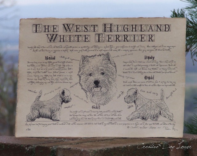 Antique Styled Dog Breed Poster - Vintage West Highland White Terrier Portre Whwt Gift - image 1
