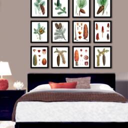 Pine Cone Decor Wall Hanging Conifers Print #10 Fall Winter Woodland Christmas Art 8x10 - thumbnail 3