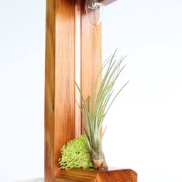 Geometric Crystal Lamp & Air Plant Holder Made With Reclaimed Wood Copper - thumbnail 3