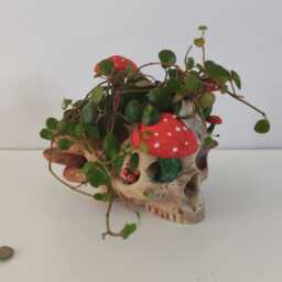Mushroom Skull Planter Painted Or Unpainted - thumbnail 2