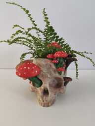 Mushroom Skull Planter Painted Or Unpainted - thumbnail 1