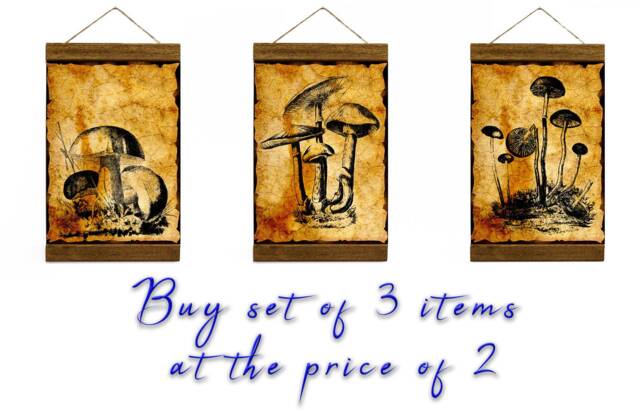 Set Of 3 Vintage Mushroom Illustration Wood Framed Canvas Print Buy Pay For 2 Botanical Theme Wall Art Ready To Hang - image 1