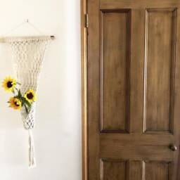 Hand Made Macrame Plant Wall Hanging - thumbnail 1
