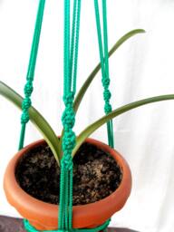Green Macrame Plant Hanger 28 Inches 3mm - Strong Hanging Planter Wall Hanging Planter Patterns Macrame Pot Hanger - thumbnail 1
