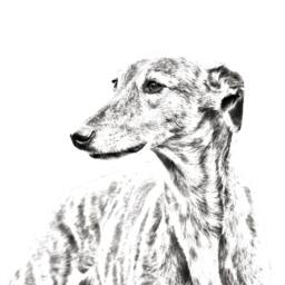 Grey Hound - Wooden Stand For Candles/Pens With The Image Of A Dog New Collection - thumbnail 2