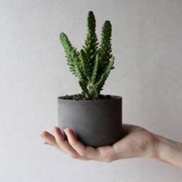 Round Concrete Succulent Planter - Minimalist Handmade Pot - thumbnail 2