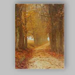 Golden Autumn Tree Lined Country Path Canvas Wall Art Print Decor Picture Ready To Hang - thumbnail 1