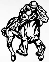 Race Horse Jockey Racing Decal Sticker Car Van Bonnet Vinyl Side Wall Art Graphic Sign Motorhome Box