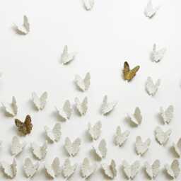 3D Butterfly Wall Art White & Gold Handmade Porcelain, Metal Wire Extra Large Set - 60 - thumbnail 3