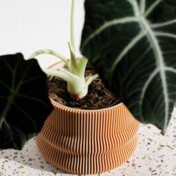 Large Planter Homer Gro??er Blumentopf Indoor Pflanztopf ??bertopf Plant Pot Printed in Wood - thumbnail 3
