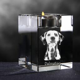 Dalmatian, Crystal Candlestick With Dog, Souvenir, Decoration, Limited Edition, Collection - thumbnail 2