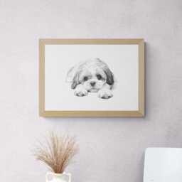 Shih Tzu Print, Cute Dog Vintage Sketch, Farmhouse Decor, Gifts - thumbnail 3