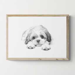 Shih Tzu Print, Cute Dog Vintage Sketch, Farmhouse Decor, Gifts - thumbnail 1