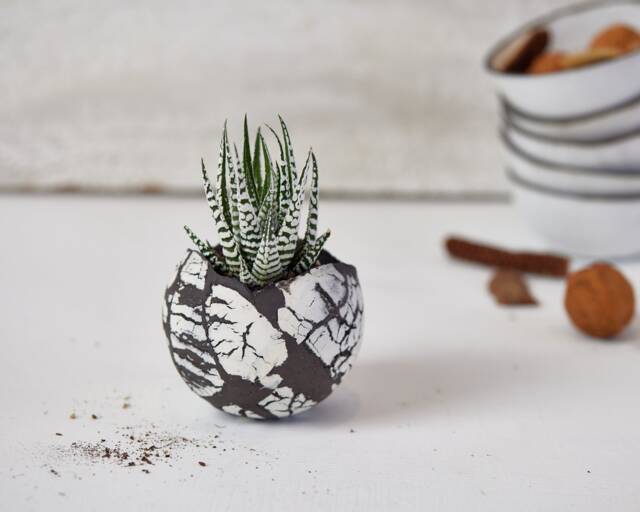 Small White & Black Modern Boho Chic Planter For Succulent - Indoor Plant Pot Wedding Table Decorative Centerpiece Or Giveaway - image 1